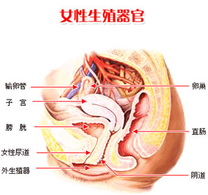 <em>女人私处清洗</em>指导手册-搜狐母婴