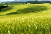 ̽�عų���̨