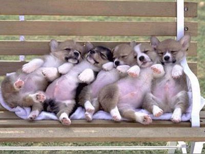 ������İ�����·������