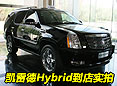 ���׵�Hybrid